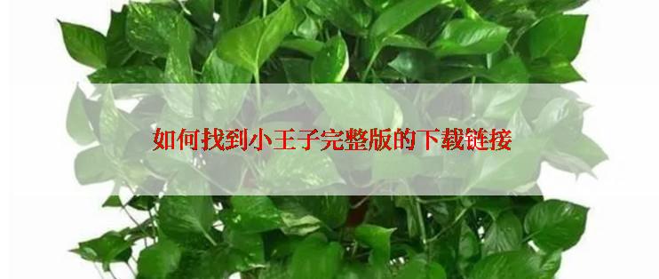  如何找到小王子完整版的下载链接