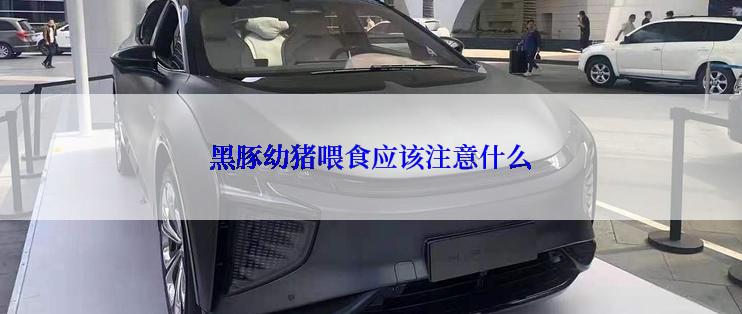 黑豚幼猪喂食应该注意什么