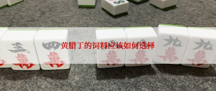 黄腊丁的饲料应该如何选择