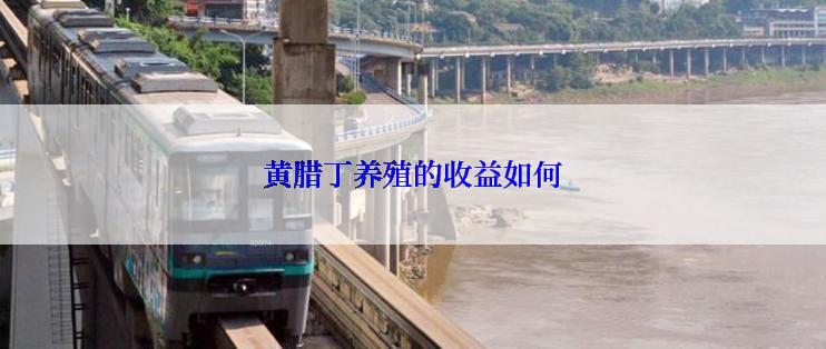 黄腊丁养殖的收益如何