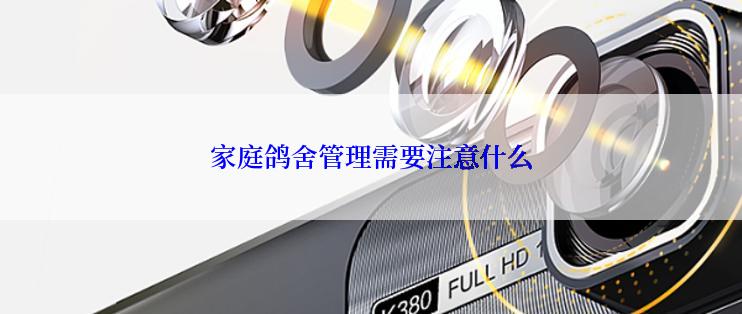 家庭鸽舍管理需要注意什么