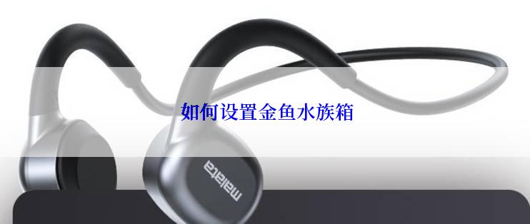  如何设置金鱼水族箱
