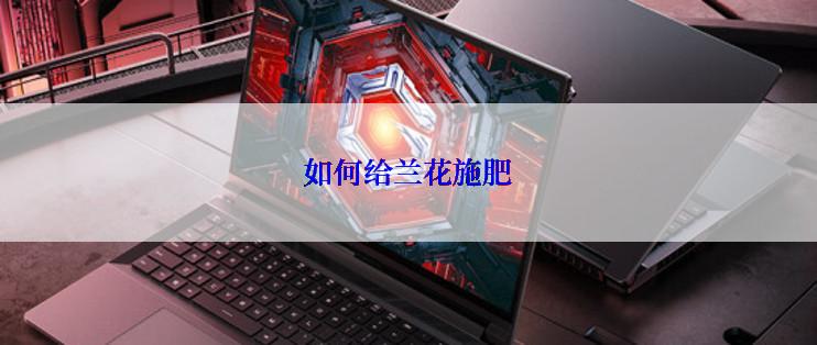 如何给兰花施肥