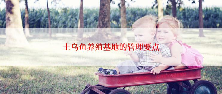 土乌鱼养殖基地的管理要点