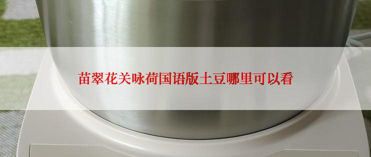 苗翠花关咏荷国语版土豆哪里可以看