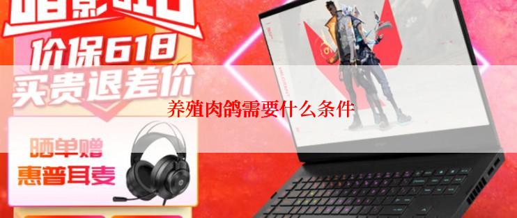  养殖肉鸽需要什么条件