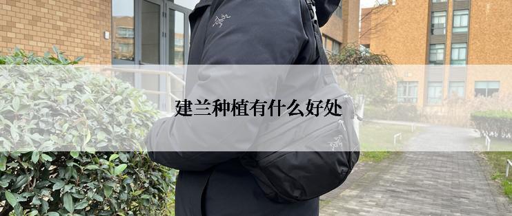  建兰种植有什么好处