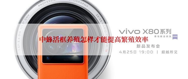 中蜂活框养殖怎样才能提高繁殖效率