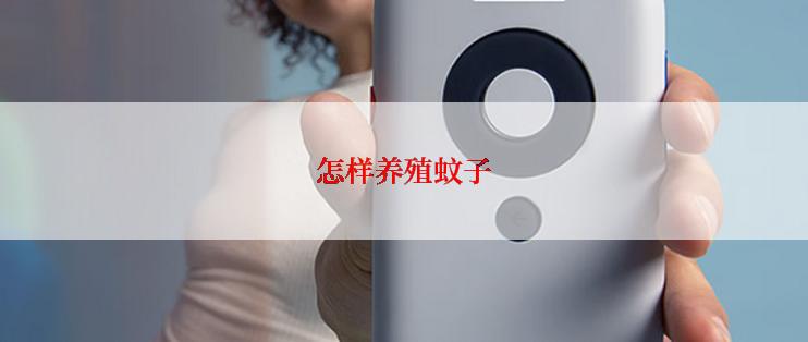 怎样养殖蚊子