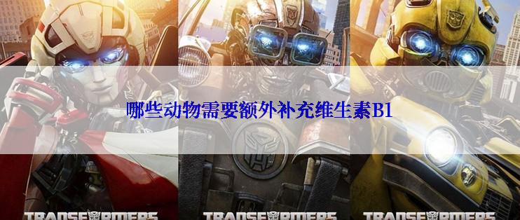 哪些动物需要额外补充维生素B1