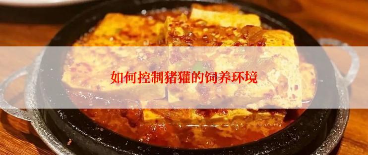 如何控制猪獾的饲养环境