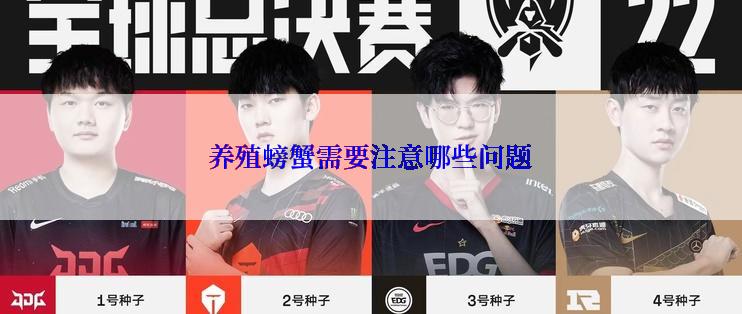 养殖螃蟹需要注意哪些问题