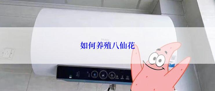 如何养殖八仙花