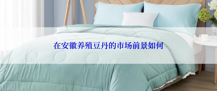 在安徽养殖豆丹的市场前景如何