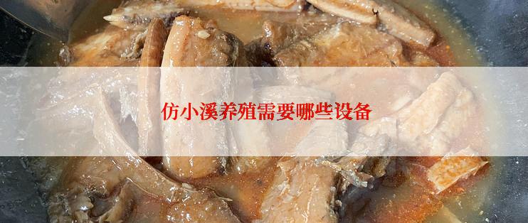  仿小溪养殖需要哪些设备