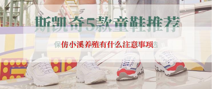  仿小溪养殖有什么注意事项