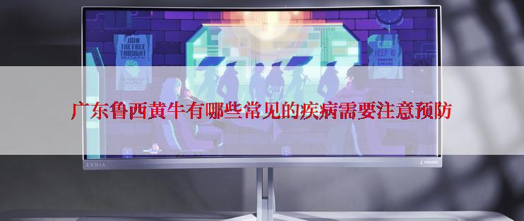 广东鲁西黄牛有哪些常见的疾病需要注意预防