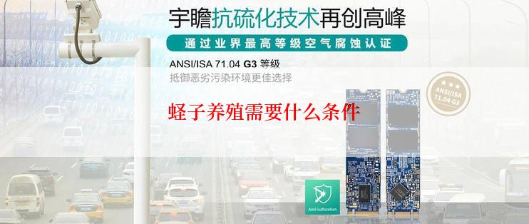 蛏子养殖需要什么条件