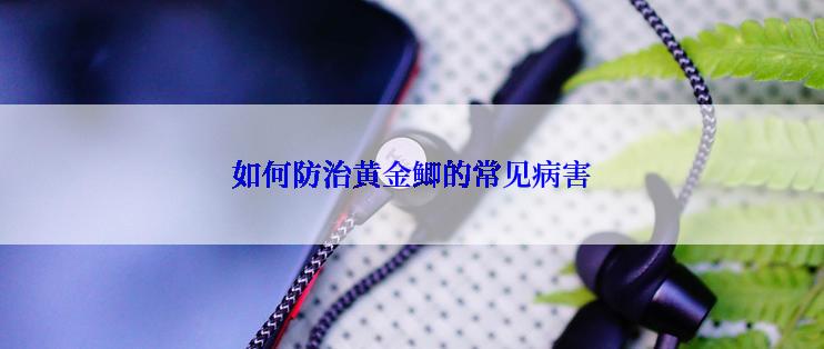 如何防治黄金鲫的常见病害