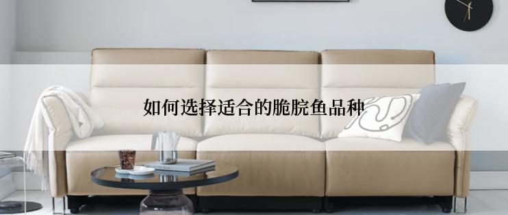 如何选择适合的脆脘鱼品种