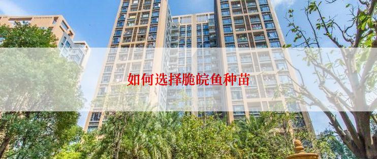 如何选择脆皖鱼种苗