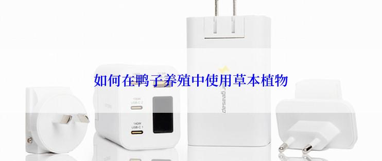 如何在鸭子养殖中使用草本植物