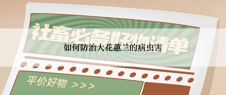 如何防治大花蕙兰的病虫害