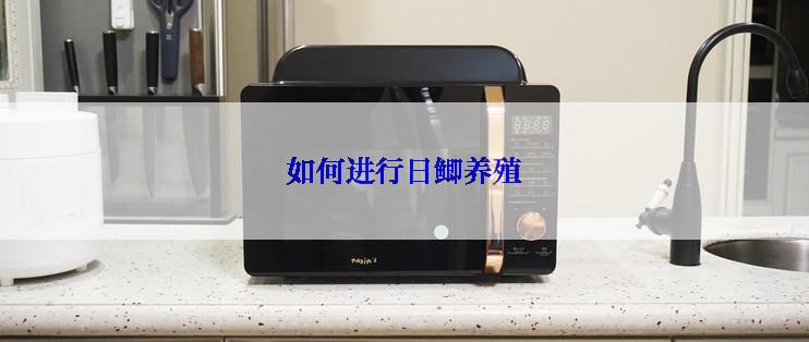 如何进行日鲫养殖