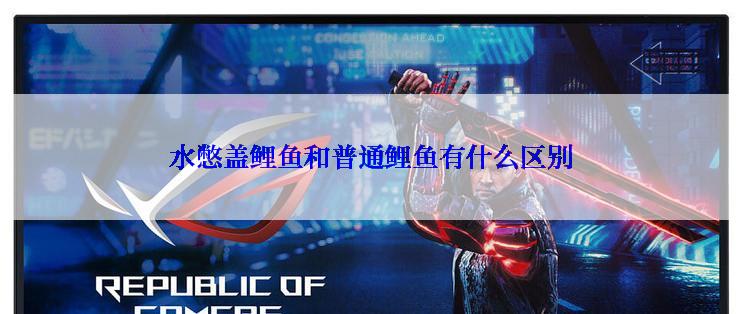 水憋盖鲤鱼和普通鲤鱼有什么区别