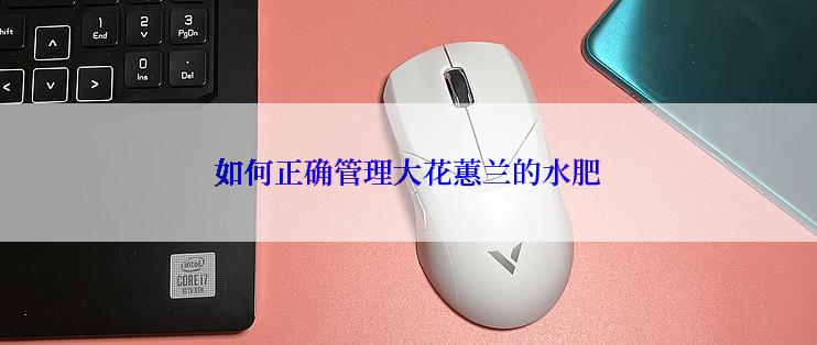 如何正确管理大花蕙兰的水肥