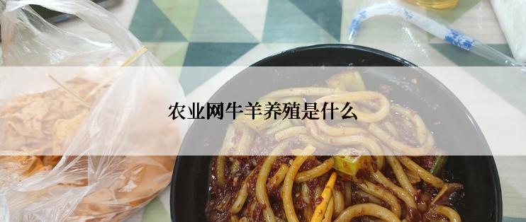 农业网牛羊养殖是什么