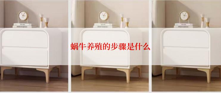 蜗牛养殖的步骤是什么