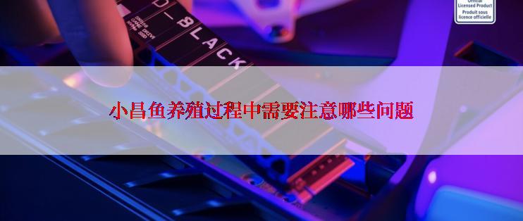 小昌鱼养殖过程中需要注意哪些问题