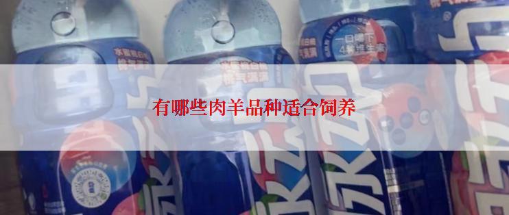 有哪些肉羊品种适合饲养