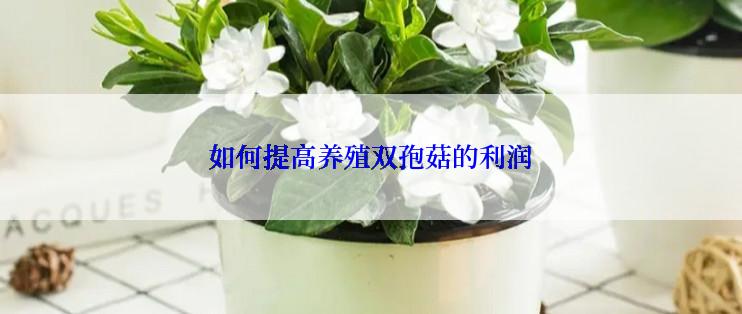 如何提高养殖双孢菇的利润