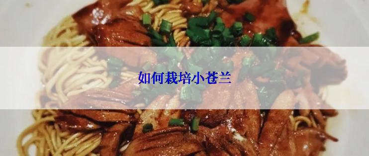如何栽培小苍兰