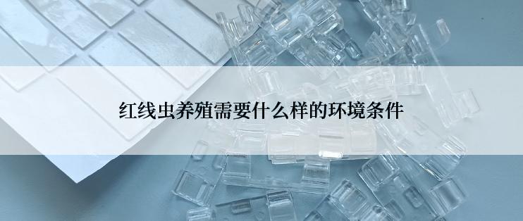 红线虫养殖需要什么样的环境条件