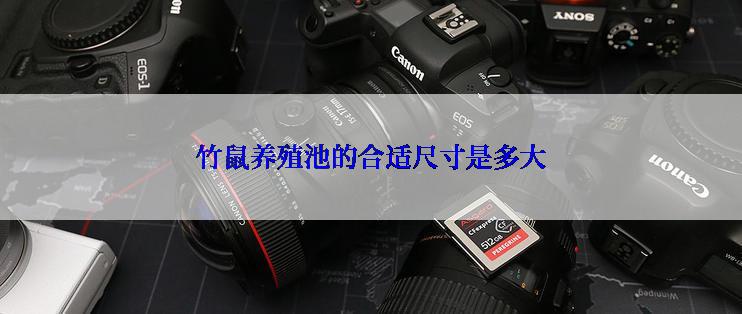 竹鼠养殖池的合适尺寸是多大