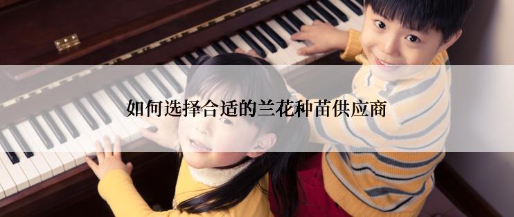 如何选择合适的兰花种苗供应商
