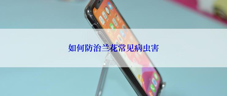 如何防治兰花常见病虫害