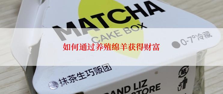 如何通过养殖绵羊获得财富