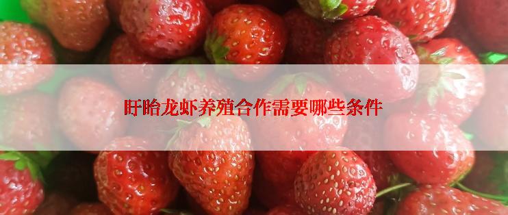 盱眙龙虾养殖合作需要哪些条件