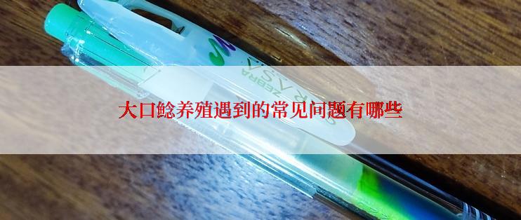 大口鲶养殖遇到的常见问题有哪些