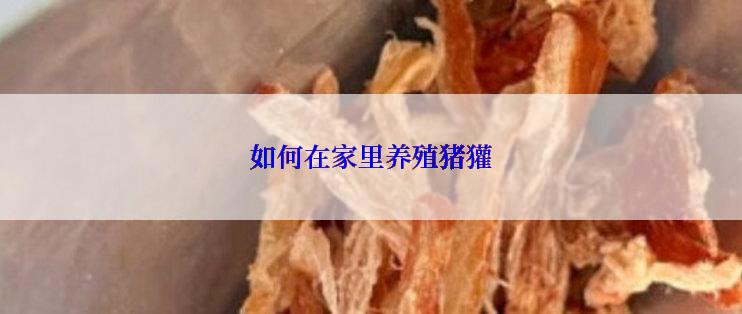 如何在家里养殖猪獾