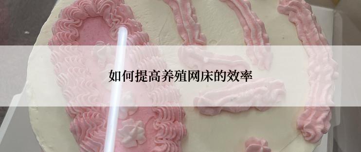 如何提高养殖网床的效率