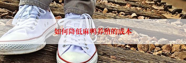 如何降低麻鸭养殖的成本