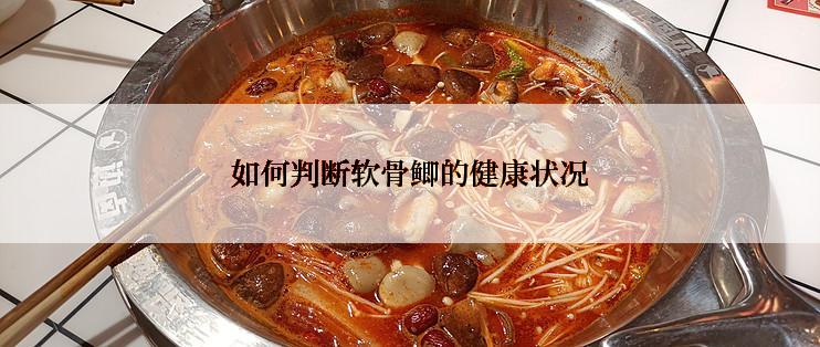 如何判断软骨鲫的健康状况
