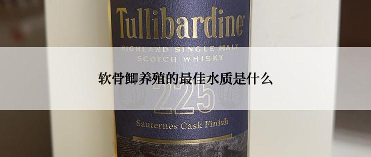 软骨鲫养殖的最佳水质是什么