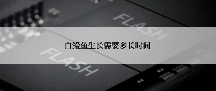 白鳗鱼生长需要多长时间