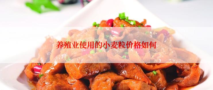 养殖业使用的小麦粒价格如何